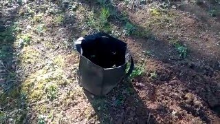 A tour of my gardening plot