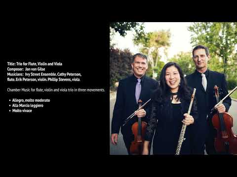 Trio for Flute, Violin and Viola - Jan van Gilse