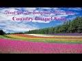 Thank You For Everything That I Have New Country Gospel Song By Lifebreakthrough