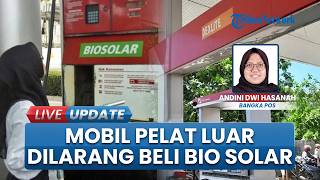 di tengah Kenaikan BBM! Pengendara Mobil Pelat Luar Dilarang Beli Bio Solar di Bangka Belitung