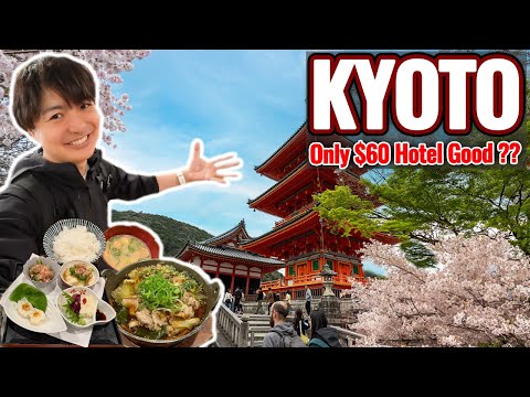 Sakura Season Kyoto, Hotel Costs Only $60 Per Night near Kyoto Station Quality Okay? Ep.480