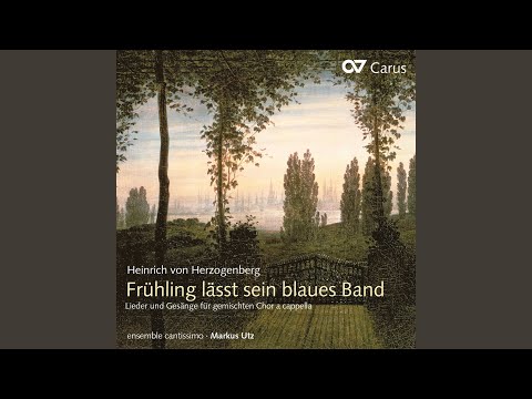 Herzogenberg: 6 Lieder, Op. 10 - III. Hüt du dich