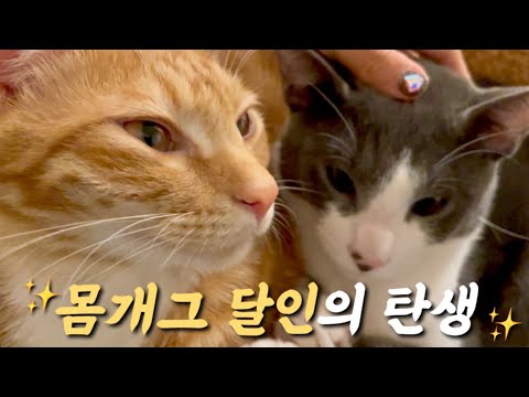 몸 개그 달인이 된 하루..?