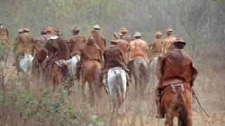 Cavaleiros do Céu (Alcymar Monteiro)