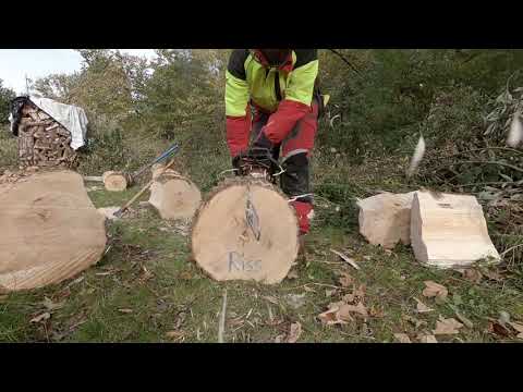 Brennholz spalten - Vorbereitung mit Motorsäge