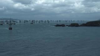 Game of Thrones: Season 6 OST - Coronation (EP 05 Euron Kingsmoot scenes)