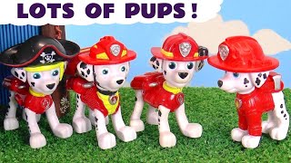 Marshall and the other Paw Patrol pups clone themselves to work as a team