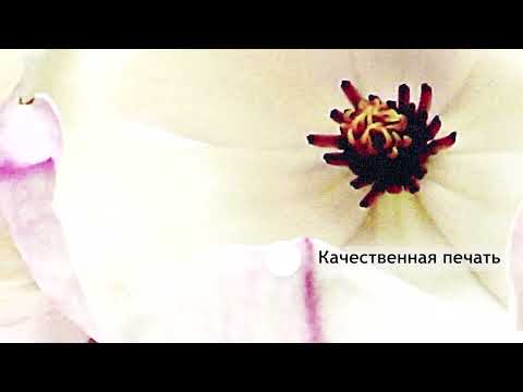 Миниатюра изображения товара Картина модульная Декарт Орхидея 8Л0685