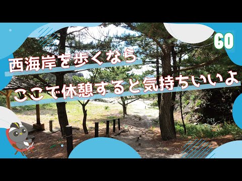 #60　神津島　小浜