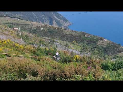 Grapes Transporter Cinque Terre, Italy.