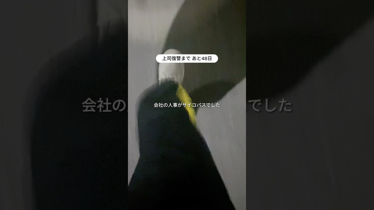 なんでそんなことが言えるの？  #限界ol #仕事辞めたい #パワハラ #上司が嫌い