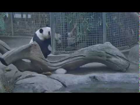 2013-09-29 Wu Charms ALL SDZ Employees :)