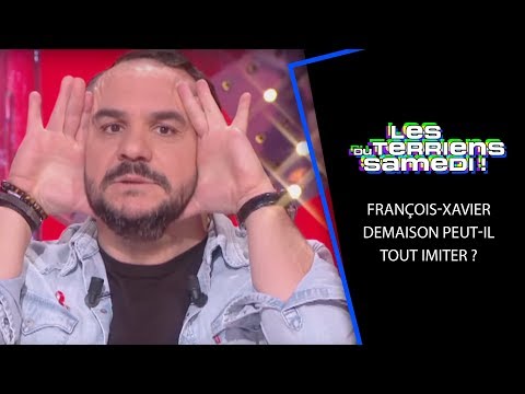 François-Xavier Demaison peut-il tout imiter ? - LTS 06/04/19