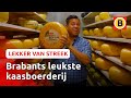 Makkelijk én lekker: kaaskroketjes met paprika | Lekker van streek