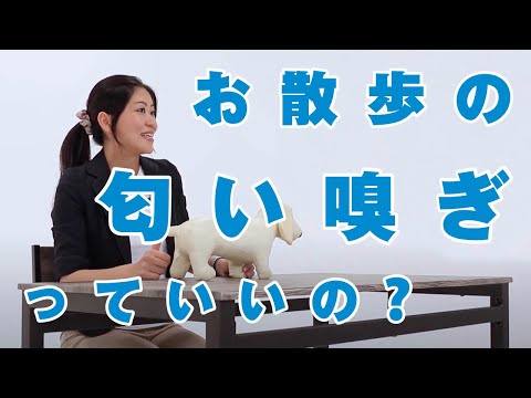 なぜ犬は私たちの陰部の匂いを嗅ぐのでしょうか?