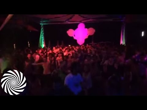 Ace Ventura Drooping 'Vini Vici - Expender' At Goa