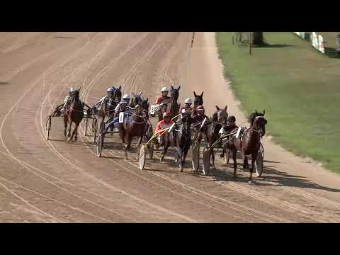 2020.09.12. 03. futam - LABDARÓZSA HENDIKEP