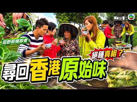 香港農地消失中？直擊北區臨時市場！手曬白菜乾繁複程序全公開：每一棵都係心機！｜香港原味道｜健康生活 360 TVB