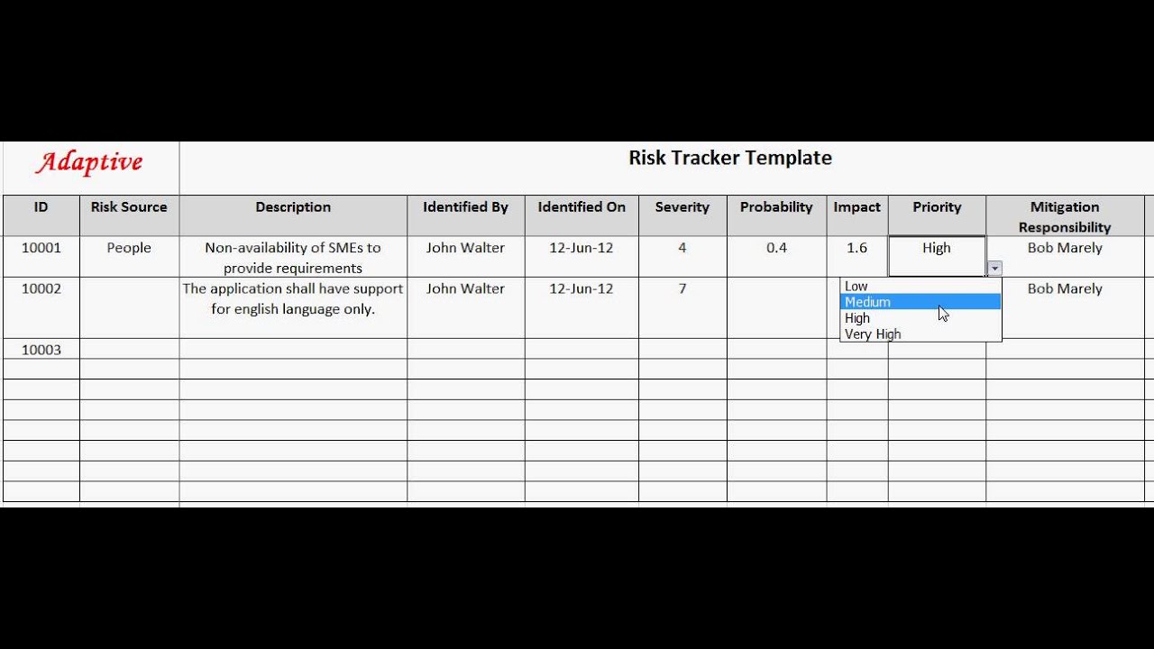 Risk Tracker template