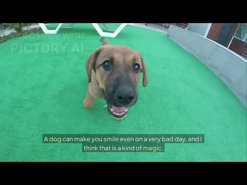 ngày 24 tháng 11, 2025