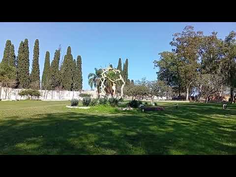 En Curuzú Cuatiá Corrientes.