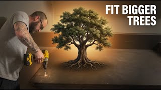 Shed Renovation: For Bigger Trees
