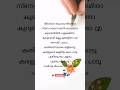 Pon Kasavu Njoriyum Lyrics Jeevaraaga Madhu Lahari Itha Lyrics KS Chitra Lyrics Malayalam