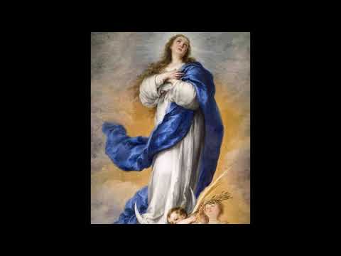 HOMILIA DA SOLENIDADE DA IMACULADA CONCEIÇÃO - 08/12/2018