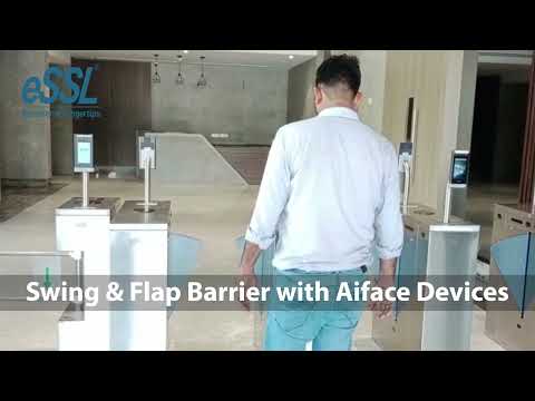 Flap Barrier Gates