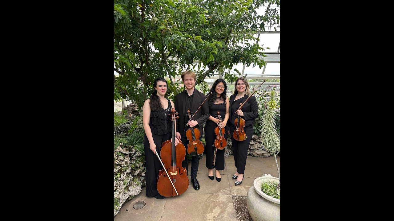 Promotional video thumbnail 5 for Evanston Strings, Elegant & Professional Live Music