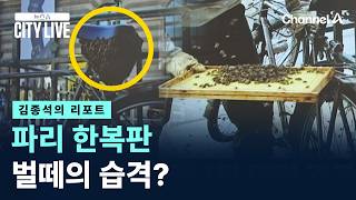 [김종석의 리포트]파리 한복판 벌떼의 습격?