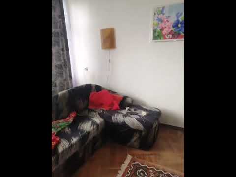 Гостевой дом «Букет Абхазии» - Очамчира, ул. Апсха-Леона, 244 видео