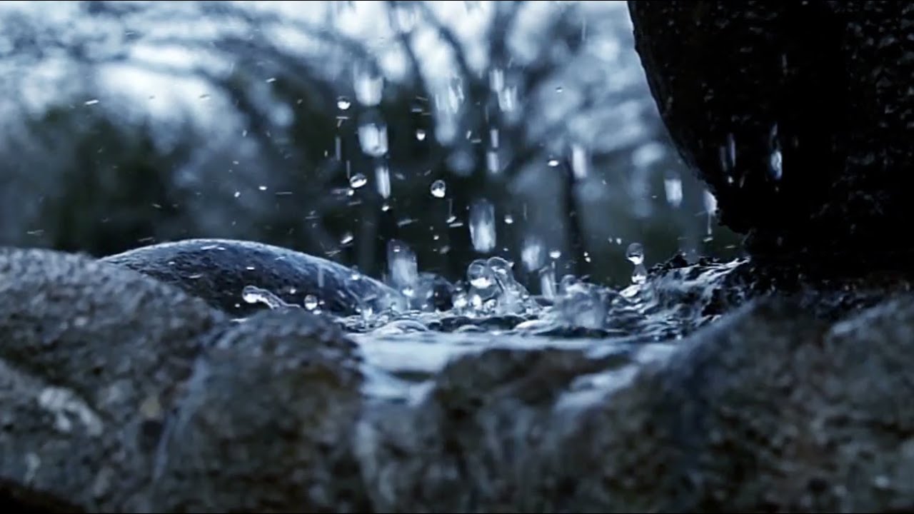 Splash Reel