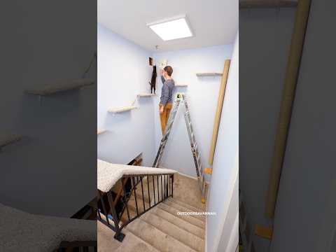 Part 1 - hope our landlord doesn't mind 🤫 #cat