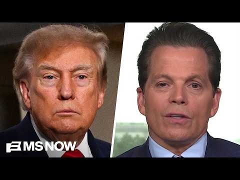 Scaramucci: Trump 'doesn't care' about his approval on the economy