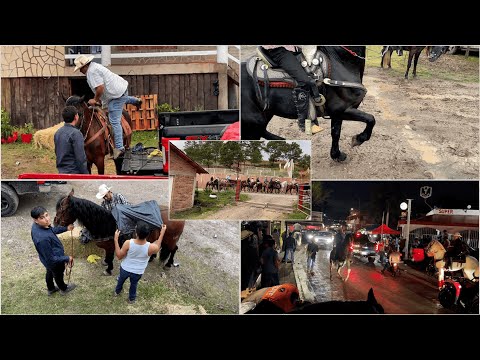 CABALGATA SURUTATO 2023🌲