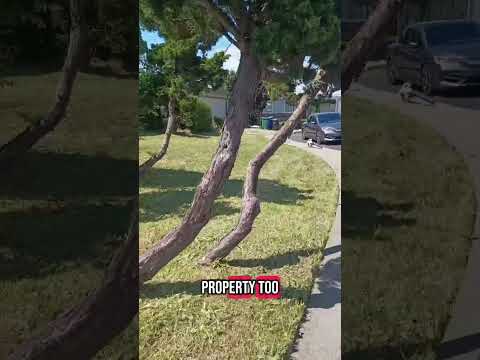 Two Family Property One Army