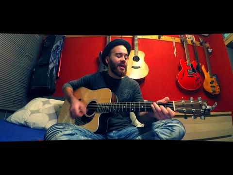 Stephen Swartz - Bullet Train (Cover by J.Hilferink)
