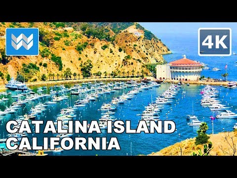 [4K] Avalon Town & Harbor in Catalina Island California USA- Walking Tour Vlog & Travel Guide