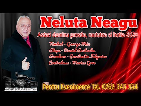 Neluta Neagu – Astazi domina prostia, rautatea si hotia Video