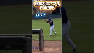 超能力にハマるドジャース大谷翔平￼！ベシアが大谷さんにイタズラw ￼スコットがディアスに嫉妬!￼  #looppot楽曲提供  #蝉時雨物語