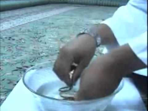 Dhulkarnejn ef. Ramadani Largohuni shtate gjerave shkateruese - Intro