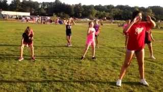 Woodstock Blue Cheer- Go, Fight, Win