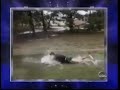 AFV Honorable Mentions Season 14