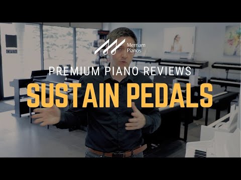 🎹Types of Sustain Pedals - What Is It? & What Does It Do?🎹
