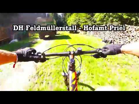 2017-07-29 Sulzbergstrecke - DH Feldmüllerstall full