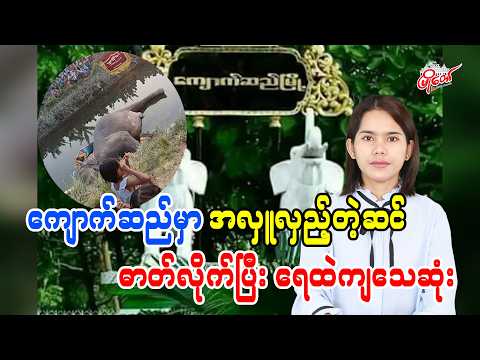 ကျောက်ဆည်မှာ အလှူလှည့်တဲ့ဆင် ဓာတ်လိုက်ပြီး ရေထဲကျသေဆုံး