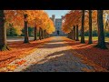 Classical Music Connects The Heart And Soul Vivaldi Mozart Beethoven Bach Chopin Tchaikovsky