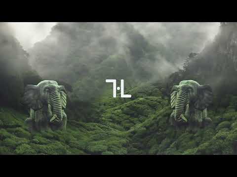 Audiense - Lotus (Extended)