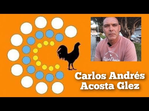 Carlos Andrés Acosta González (Candidate for President of the Canary Islands Cockfighting Federat...